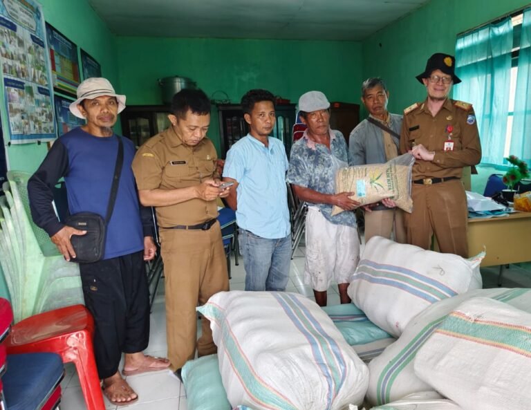 Dukung Kemandirian Pangan, Pemkab Buton Selatan Salurkan 3 Ton Benih Padi Gogo
