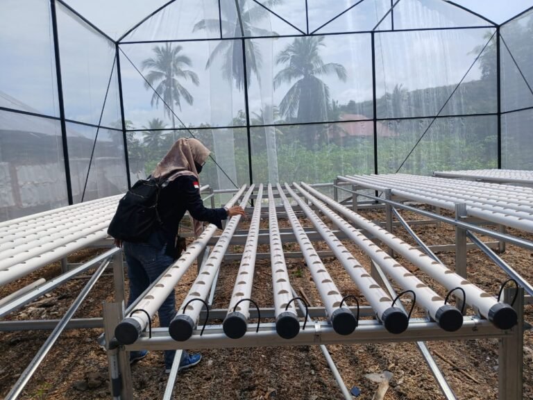 Monev DPMD: Program Ketahanan Pangan BUMDes di Siompu Barat  Tunjukkan Progres Positif