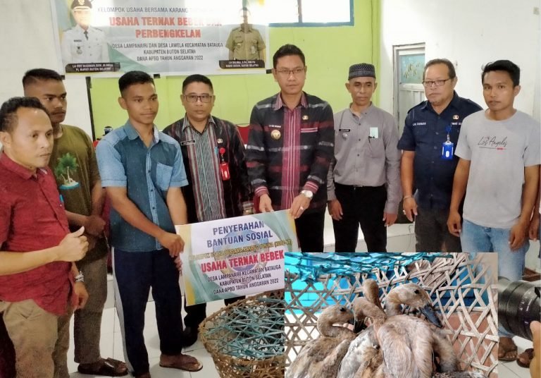 Sejalan Dengan Penanganan Stunting, Budiman Suport Usaha Ternak Itik di Desa Lampanairi