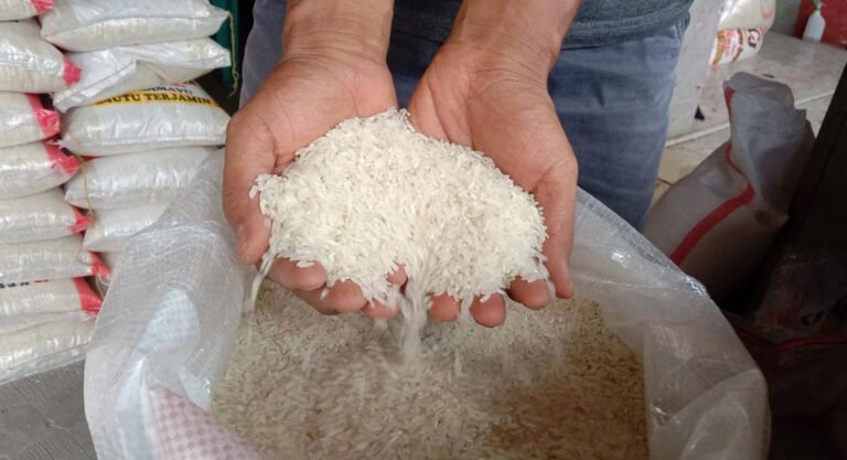 Harga Beras jadi Salah Satu Penyumbang Inflasi di Busel