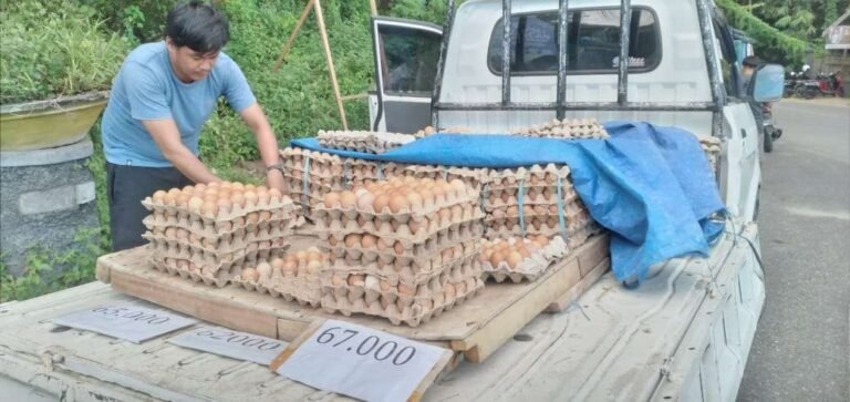 Harga Telur di Baubau Masih Mahal