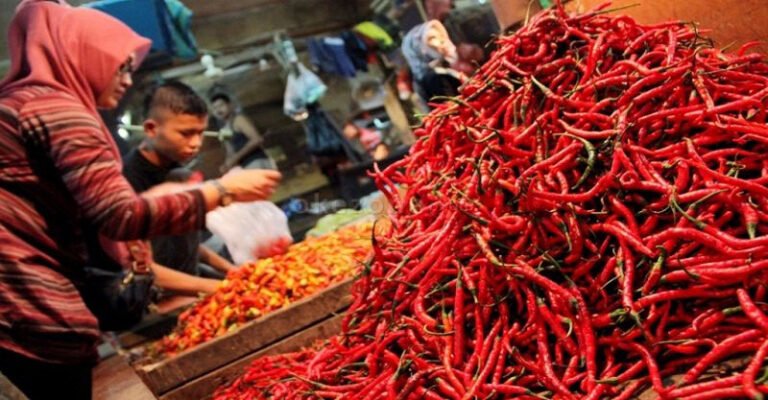 Harga dan Stok Pangan di Sultra Terpantau Aman