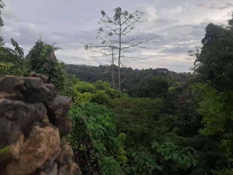 Pemkot Baubau Lirik Wisata Jembatan Layang Wolio-Sorawolio