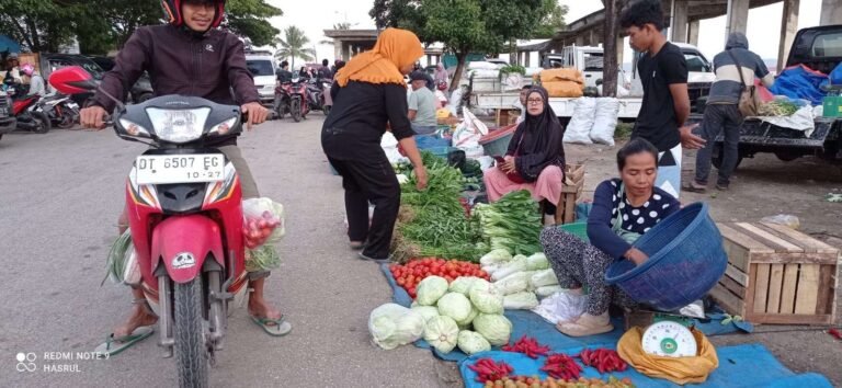Harga Sayur di Kota Baubau Murah Meriah