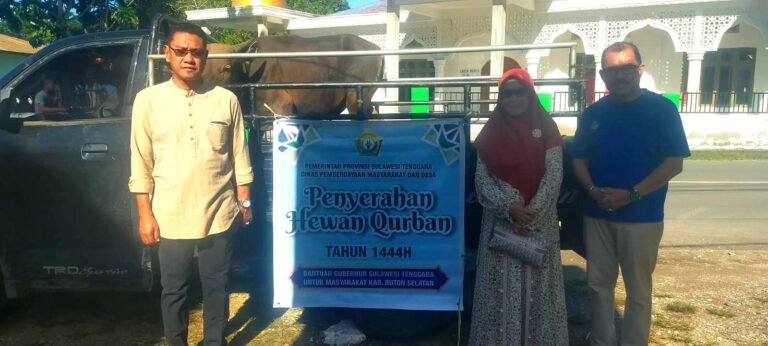 Pemkab Busel Terima 2 Ekor Sapi Qurban Dari Gubernur Sultra