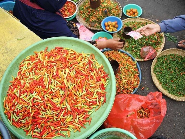 Pedasss, Harga Cabai di Baubau Makin Mahal