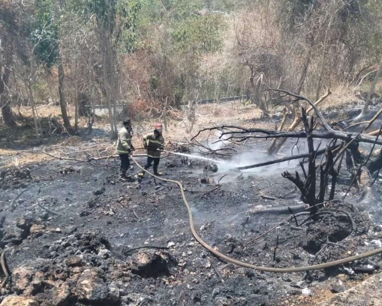 Pemkot Baubau Lakukan Langkah Taktis Redam Dampak El-Nino
