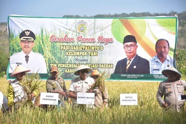 Panen Padi dan Cabai di Kapontori Mampu Tangani Inflasi