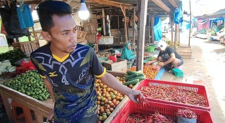 Harga Cabai Rawit di Baubau Tembus Rp 120.000/kg