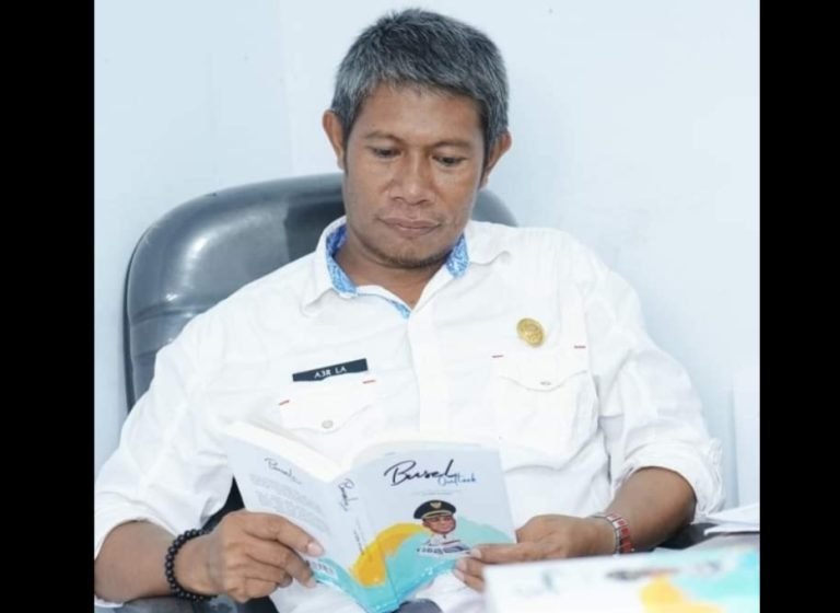 La Amirudin, DPMDes, Buton Selatan