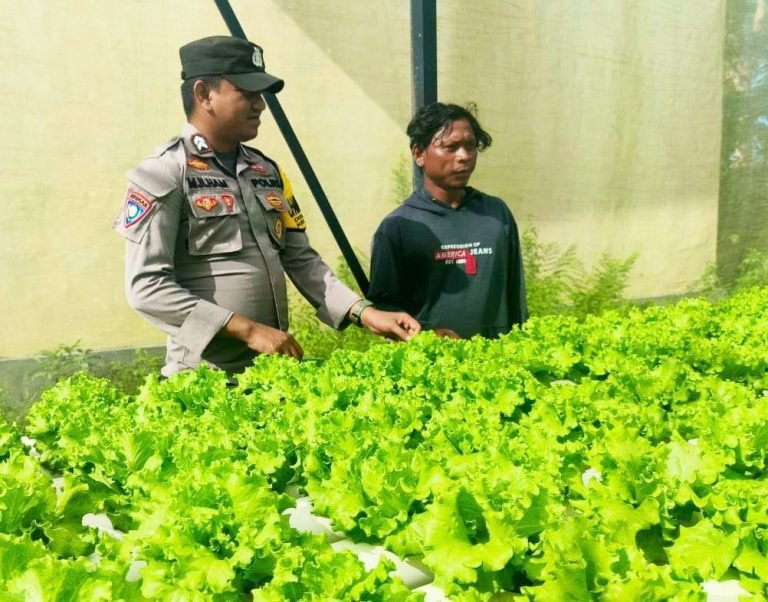 Bhabinkamtibmas Polsek Siompu