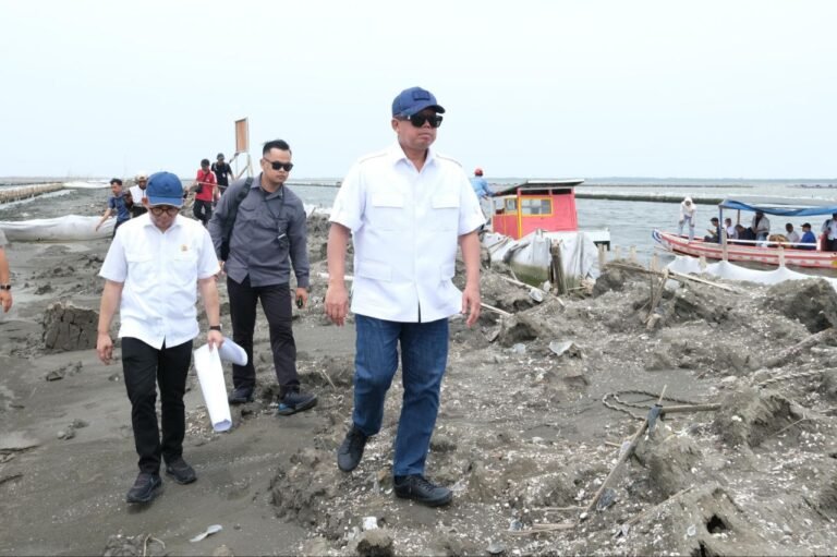 Img 20250205 085534 261