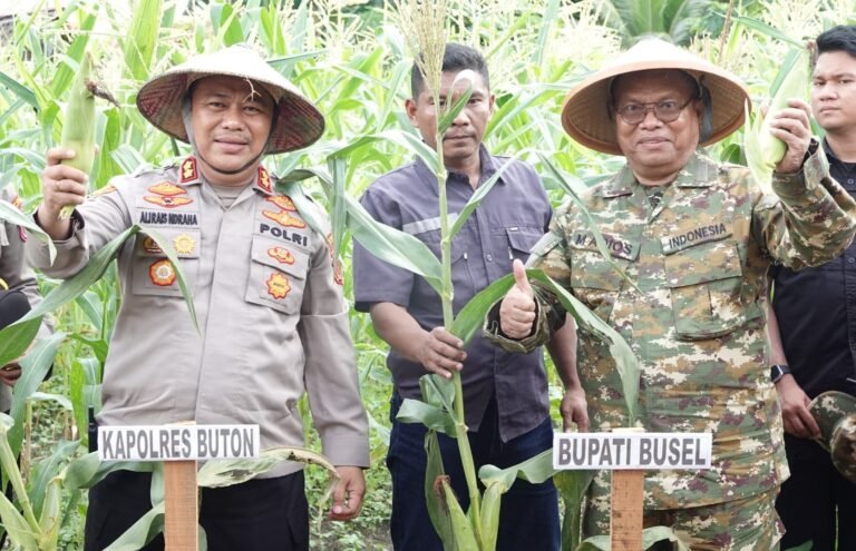 Buton Selatan Ikut Panen Raya Nasional: Adios Tegaskan Komitmen Majukan Petani Lokal
