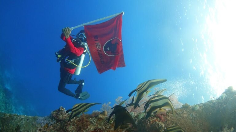 Peringati Bulan Bung Karno, DPC PDI-P Wakatobi Kibarkan Bendera Partai di Bawah Laut