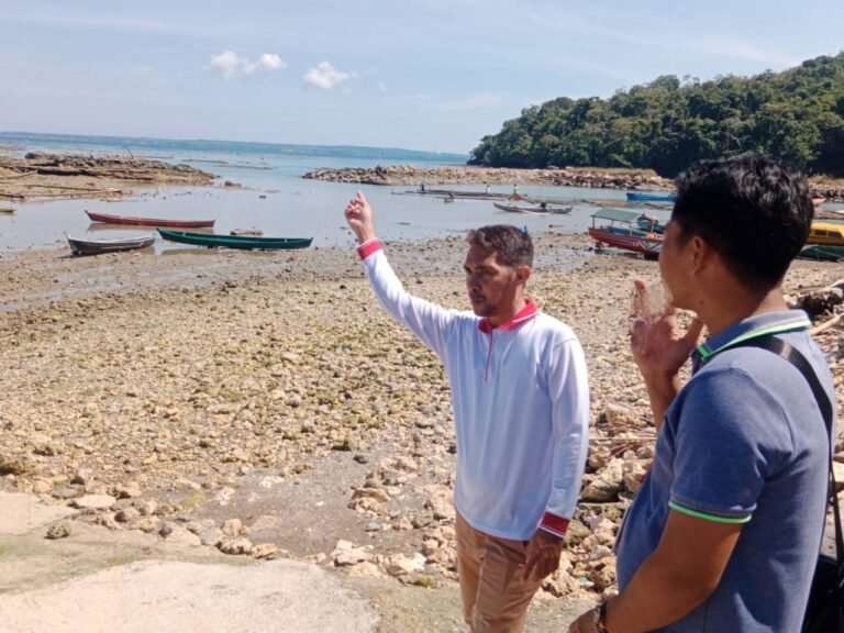 Harga Rumput Laut Naik, Petani Bangkit dan Ekonomi Pesisir Buton Selatan Menggeliat