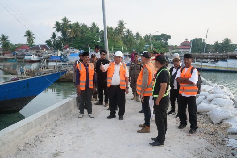 Dari Listrik hingga Stunting, Bupati Buton Selatan Tegaskan Komitmen Pembangunan Batuatas