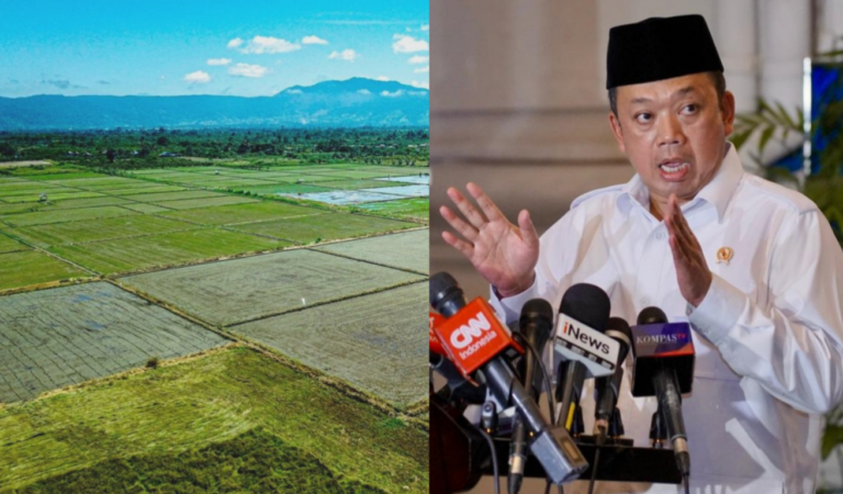 ATR/BPN Tetapkan Kebijakan Darurat Lindungi Lahan Sawah Demi Swasembada Pangan