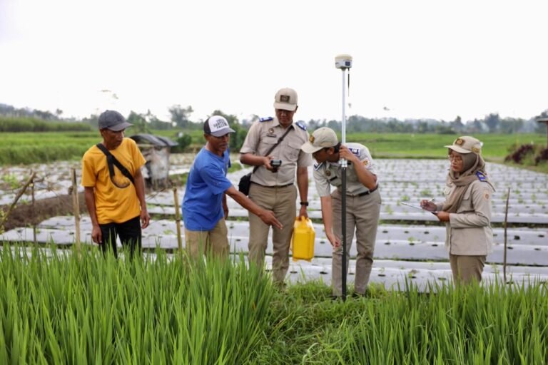 Ingin Urus Sertipikat Tanah Lewat PTSL? Ini Biaya yang Perlu Disiapkan
