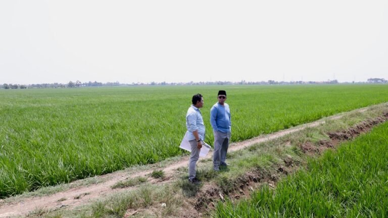 Menteri ATR/BPN Cek Langsung Lahan Sawah untuk Industri, Pastikan Tidak Ganggu Ketahanan Pangan
