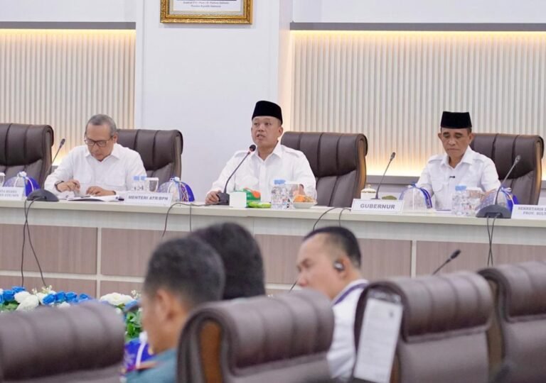 Ketahanan Pangan Jadi Prioritas, Menteri ATR/BPN Batasi Alih Fungsi Lahan Sawah Maksimal 11 Persen