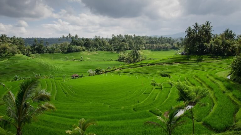 Capaian LP2B Tembus 87,63%, Nusron Wahid Minta Pemda Pertajam Tata Ruang